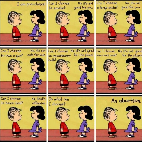 528935_10151638498100802_115289891_n