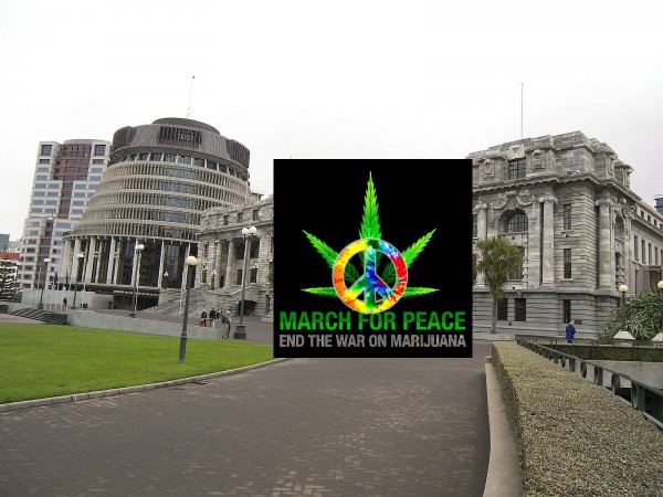 903915_223856174413229_554739307_o