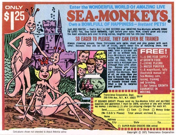 sea monkeys