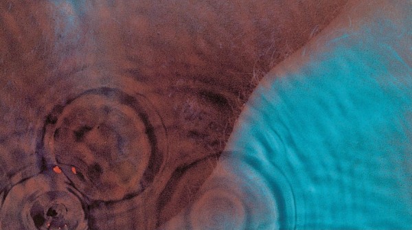 7fuG1tigR0O6Ocepo2a79NGpyYp