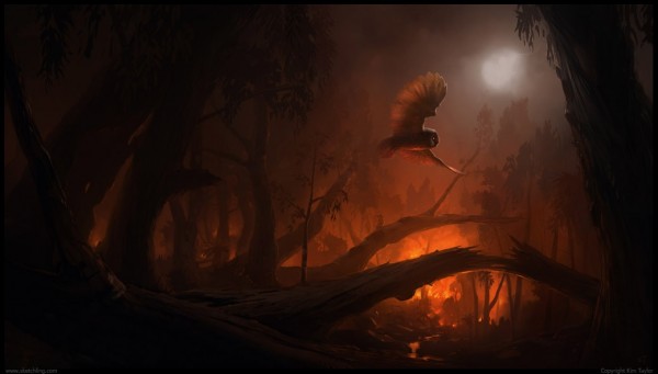 1039x591_3718_Fire_flight_sorry_had_to_2d_illustration_fire_bird_forest_night_owl_smoke_picture_image_digital_art (1)