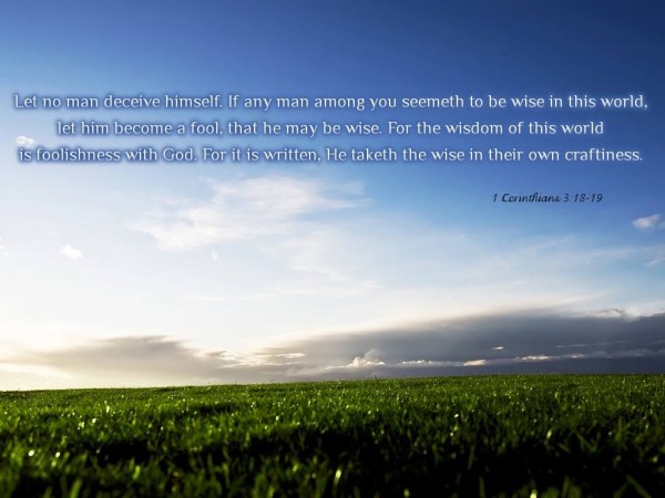 1655394_10151864411152294_178509351_o