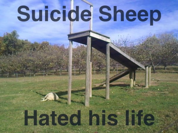 Suicide_daf312_529208