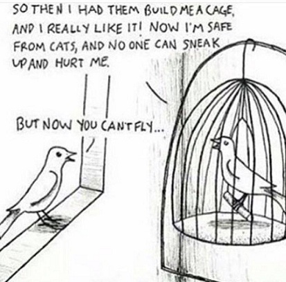 13087365_10154242081369614_2008392204559896704_n