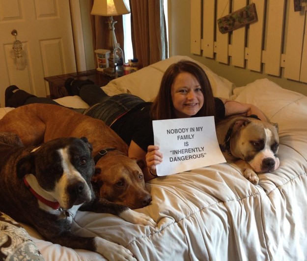 enhanced-buzz-19681-1377106073-0